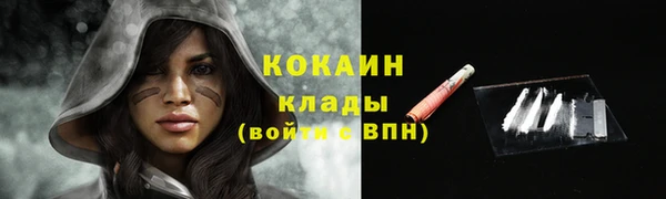 индика Покровск