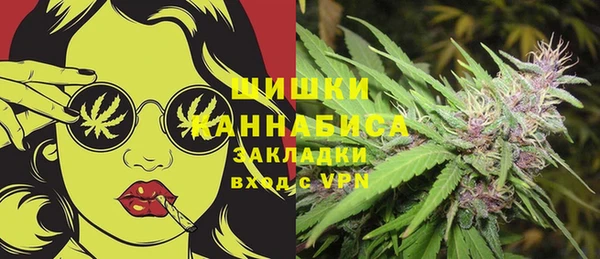 индика Покровск