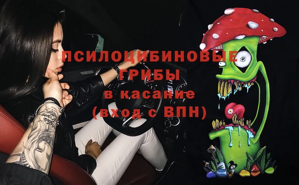 индика Покровск